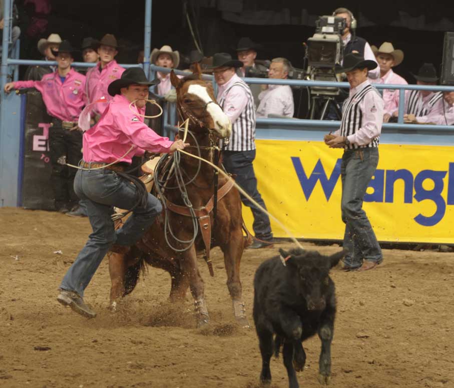 NFR 2016 live  Tie-down roping